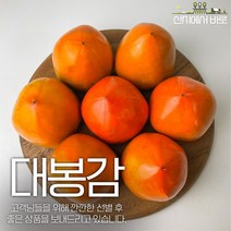 산지에서바로 품질선별 최상품 대봉감 대봉 홍시 특대과 대과 중과 소과 3kg 4.5kg 10kg, 대봉감 4.5kg 대과