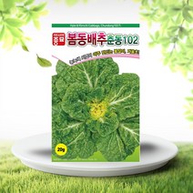 봄동배추씨앗 20g 배추씨앗 쌈채소 춘동102 월동재배, 1개