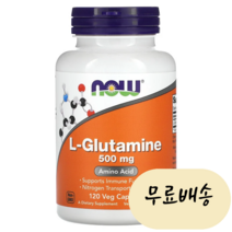 글루타민 나우푸드(NOW) L글루타민 NOW Foods L-Glutamine, 120정, 1개, 120정