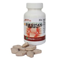 강아지 슬개골 관절 칼슘약 영양제 면역 수유견 중형견 노령견 비만견 뼈 건강 출산