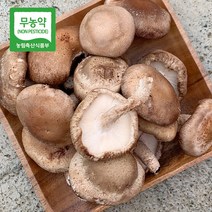 무농약 친환경 착한송이 표고버섯 국산 파지 못난이 1kg