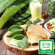 해풍맞고 자란 유기농 생알로에 베라 특 5kg, 단품