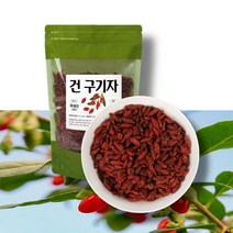 진도구기자 500g 국산 건 이유식 아기 구기자, 1개
