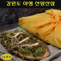 강원도 자연산 산양삼 야생 산양 산삼 장뇌삼 산삼주 효능 가격 먹는법 추석 명절 vip 선물 세트 국내산 정품, 3세트, 8뿌리