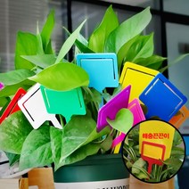 여기슈 식물 이름표 화분 나무 네임 카드 꽂이 KK291 당일발송, 그린