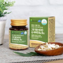 애플트리 김약사네 그린 엽산 400 비타민 B6 B12 레몬추출 임산부 출산 선물 임신 준비 초기 영양제 축하 산모 엽산제 보충제 신혼부부 추천 효능 90정, 2