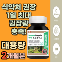 혓바늘 구내염 입병 잔기침 마른 기침 비염 기관지염 기침 가래 몸속 코 감기 축농증 만성 항염 염증 에좋은 영양제 약 2개월분 고함량 대용량 프로폴리스 비타민C 아연 식약처 인증, 1상자(60캡슐) 2개월분_사은품 패치