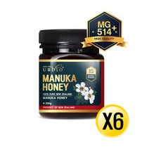 [유비바이오] 마누카허니 MG514+(15+) 250GX6