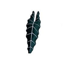 인테리어 조각상 오브제 nordic ins plant white brocade monstera 침대 옆 소파 허리 베개 베개 쿠션 귀걸이 냉장고 자석 홈 가구, 64x23