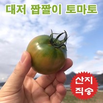 [부산농가명물] 마미템 부산 맛있는 대저토마토 짭짤이 토마토 2.5kg 5kg, 대저짭짤토마토 (S사이즈)