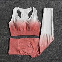 다이빙 스쿠버 슈트23PCS 원활한 여성 요가 세트 운동 운동복 체육관 의류 피트니스, S, 협력사, 브라팬츠 핑크