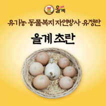 [초란 10구 2세트] 유기농 동물복지 자연방사 유정란 초란 (10구 2세트) / 재고 상황에 따라 순차배송 됩니다.