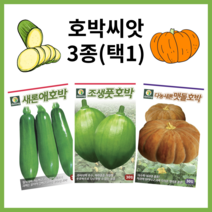 주주씨앗 호박씨앗 3종세트 / 다농 애호박 둥근호박 맷돌호박 /애호박 씨 종자 늙은호박 조선 풋호박, 맷돌호박(늙은호박) 30립