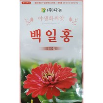 백일홍 야생화씨앗/4월초파종/다농/가람종묘사, 1개