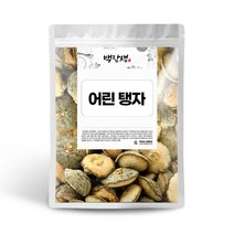 백장생 국내산 어린 탱자 열매 지실, 300g