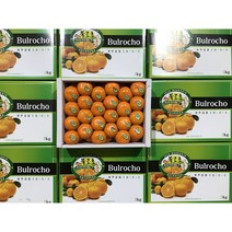 제주 당도선별 불로초 감귤 타이벡 밀감 제주도 귤 선물, 당도선별 타이벡감귤 3kg(2s~M)