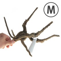 드리프트우드 가지유목 M사이즈