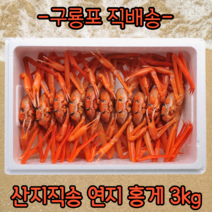 쪄서 배송되는 프리미엄 구룡포 연지 자숙 홍게, 3kg(찜하기 전), B급홍게(수율60~80%), 1개