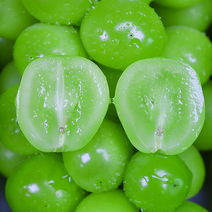 김천특등품샤인머스켓 특등품샤인머스켓, 샤인머스켓 4kg