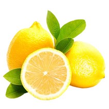 레몬140g 최저가 가격비교