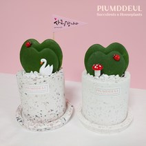 하트호야 호야케리 2겹 고급 테라조화분 set - 공기정화 전자파차단 산소배출, 연핑크, 1개