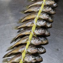 [산지직송] 영광법성포굴비 국내산 참굴비 1.3kg 1.4kg 1.6kg이상 20미 가정용 추석 설명절선물세트, 1box, 2.6kg 40미