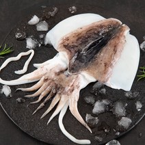 국내산 완전손질 갑오징어 소 사이즈 2-3미 250g 6팩 12-18미, 6개