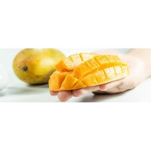 습식사료 반습식사료망고 배변도움 스틱 간식 강아지밥 파우치 말랑한사료 강아지습식