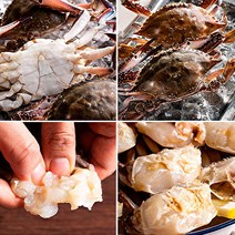 봄꽃게철 꽃게철 국내산손질절단꽃게600g, 국내산 절단꽃게 300g *4팩
