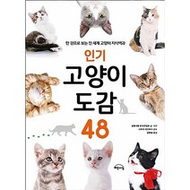 가성비 좋은 인기고양이도감48 중 알뜰하게 구매할 수 있는 판매량 1위