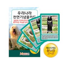 보드게임몰 [메모리교육] 우리나라 천연기념물 카드/보드게임, 단품없음