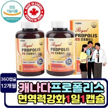 캐나다 직수입 대용량 프로폴리스 캡슐 면역력에좋은 영양제 propolis 건기식 캡슐 로얄 항산화제 효능 중년 여성 남성 노인 실버 1년분 폴리폴리스 1일권장섭취량충족 환절기