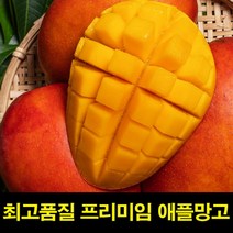 고씨네 특급 태국망고 2KG 애플망고자르는법 냉동망고 애플망고후숙 제주애플망고 망고포도 애플망고