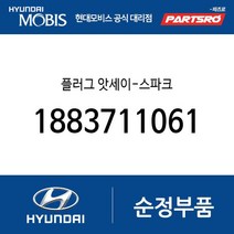 플러그 앗세이-스파크 (1883711061) 아토스