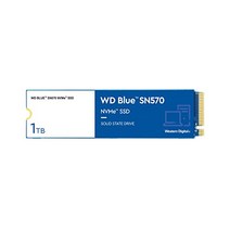 (Western Digital Blue 3D SSD Series 2TB TLC, 단일 저장용량, 단일 모델명/품번