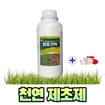 원예/식물>천연잔디 추천 상품 best50