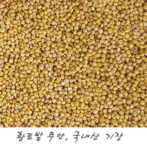 한땀영농조합법인 국내산 전남 무안 황토밭 기장 1kg, 1개