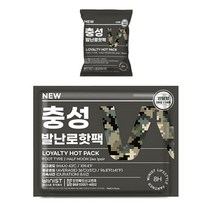 충성 NEW 발난로핫팩 20g x 2p, 20개