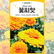 2023년 생산품 고급모음 꽃씨앗 일년생 다년생 야생화 사계절 꽃씨 종자, 29 가자니아30립