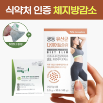 모유 유래 유산균 bnr17 다이어트 분말 가루 파우더 가르시니아 모유유산균 락토바실러스가세리 비엔알17 프로바이오틱스 lgg rgg 식약처인증 정품, 비에날씬플러스 1통(1개월)