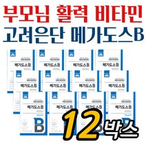 프리미엄 종합 비타민비 영양제 메가도스비 12박스