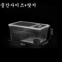 달팽이 키우기 달팽이집 사육 세트, 중간사이즈+닷지