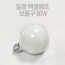 Globe Lamp 백열 볼전구 보올전구 60W E26 전구색 백, E26 전구색[노란빛], 일광 GlobeLamp G80 60W