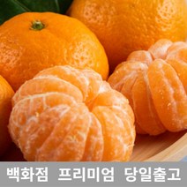 (특등급) 오늘출고 감귤5KG 밀감 귤 제주밀감 제주귤, 쿠팡 5KG, 쿠팡 본상품선택