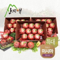 [산지애]씻어나온 특대사과 9kg (3kg*3박스) / 미시마, 단품