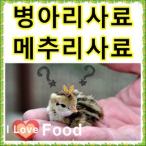 초이사료 병아리사료 1kg 소분판매전문 종합비타민 폐사방지 비타민 천연미네랄 무기질 다량함유 [명품사료], 1번 명품기능성초이사료2kg