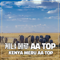 (커피생두) 141 케냐 메루 AA TOP 1kg, 1개