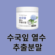 수국잎 분말 가루 국산 국내산 추출물 사포닌 필로둘신 하이드란제놀 안토시아닌 게르마늄 열수 농축 잎 꽃 차 안전한 영양손실 최소화 먹는법 건강, 150g x 13병