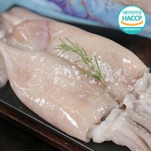 국내산 손질 통오징어 8팩(16미~24미), 단일옵션