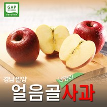 미소드림 밀양 남명리 남종현님의 얼음골사과 5kg (23-25과), 단품